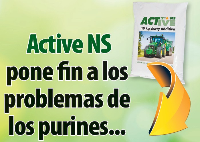 Active NS